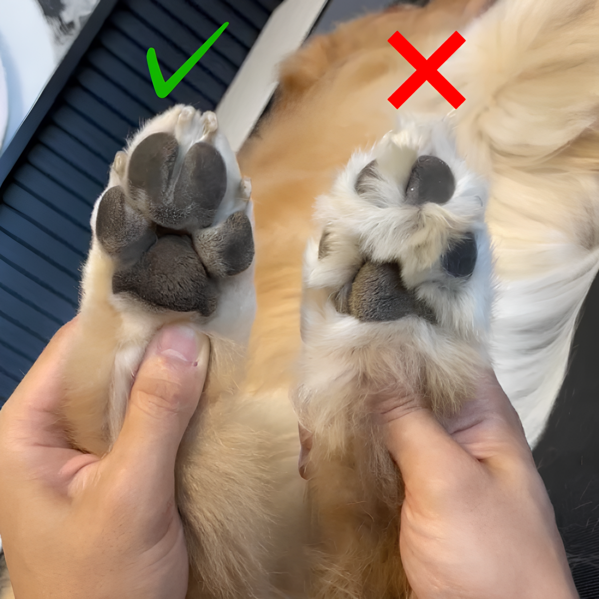 Lunoox™ Cordless Pet Paw Hair Trimmer