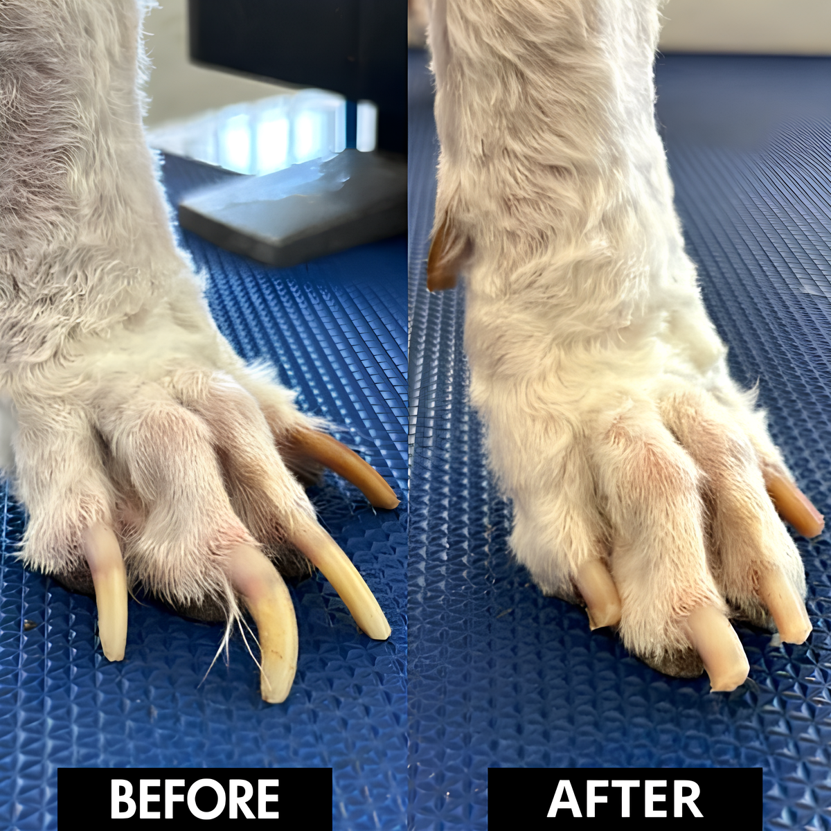 Lunoox™ Dog Nail Scratch Board